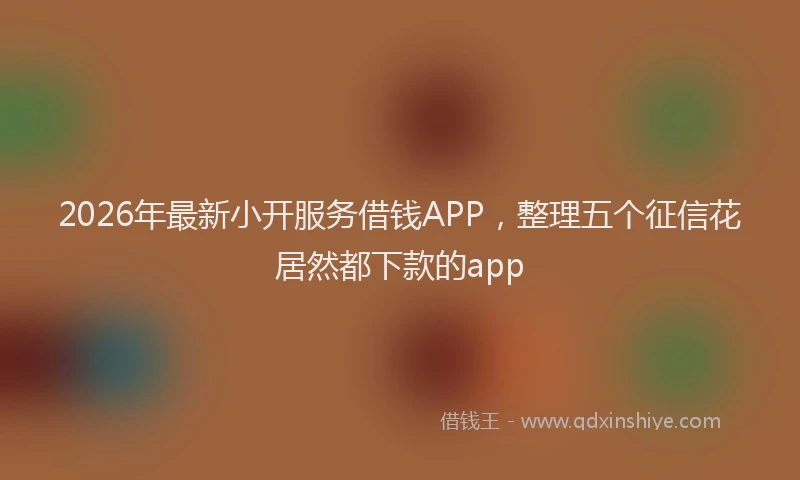 2026年最新小开服务借钱APP，整理五个征信花居然都下款的app