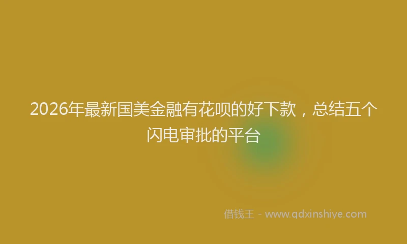2026年最新国美金融有花呗的好下款，总结五个闪电审批的平台