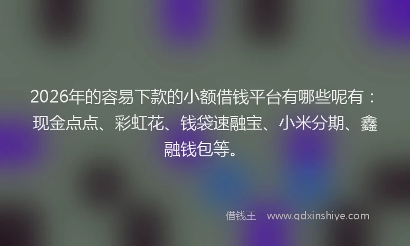 2026年的容易下款的小额借钱平台有哪些呢有：现金点点、彩虹花、钱袋速融宝、小米分期、鑫融钱包等。