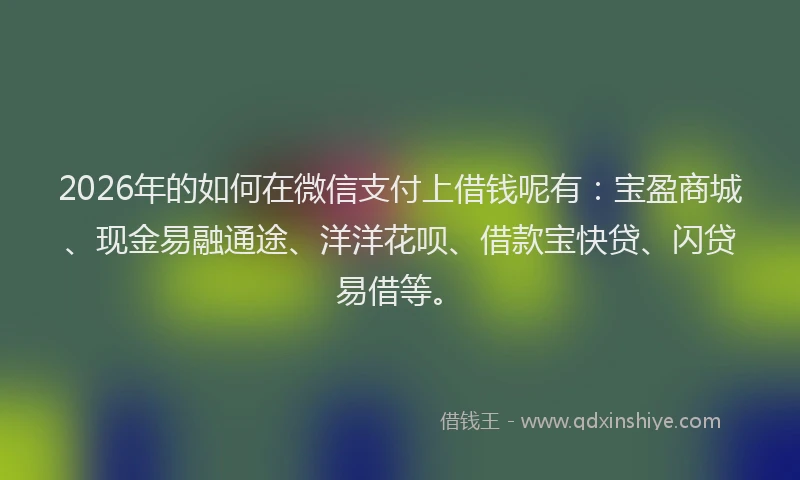 2026年的如何在微信支付上借钱呢有：宝盈商城、现金易融通途、洋洋花呗、借款宝快贷、闪贷易借等。