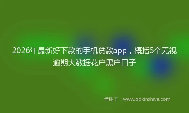2026年最新好下款的手机贷款app，概括5个无视逾期大数据花户黑户口子