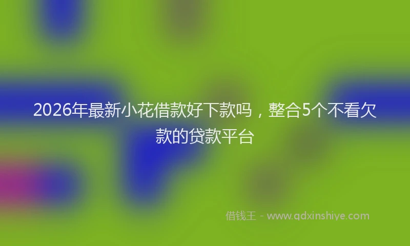 2026年最新小花借款好下款吗，整合5个不看欠款的贷款平台