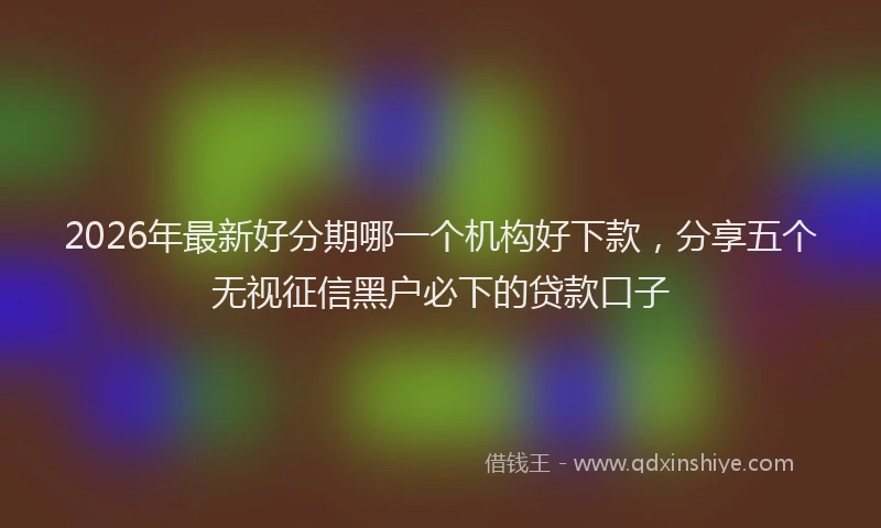 2026年最新好分期哪一个机构好下款，分享五个无视征信黑户必下的贷款口子