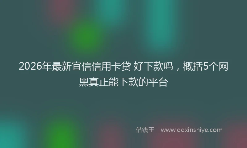 2026年最新宜信信用卡贷 好下款吗，概括5个网黑真正能下款的平台