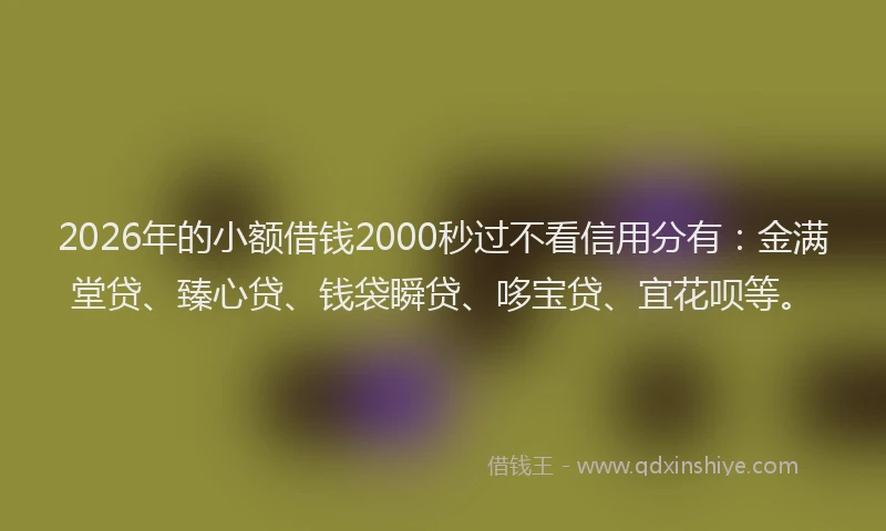 2026年的小额借钱2000秒过不看信用分有：金满堂贷、臻心贷、钱袋瞬贷、哆宝贷、宜花呗等。