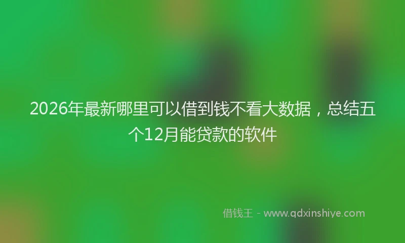 2026年最新哪里可以借到钱不看大数据，总结五个12月能贷款的软件