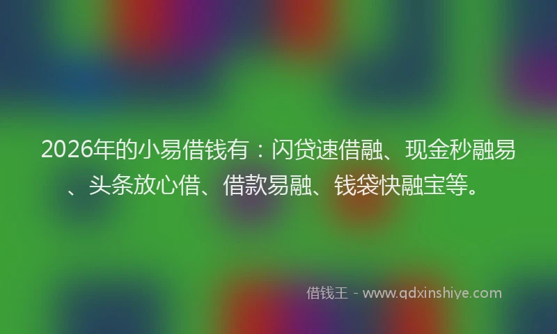 2026年的小易借钱有：闪贷速借融、现金秒融易、头条放心借、借款易融、钱袋快融宝等。