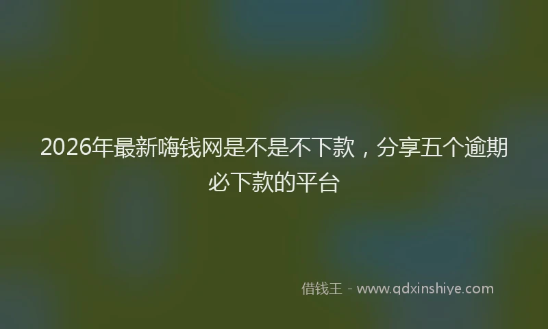 2026年最新嗨钱网是不是不下款，分享五个逾期必下款的平台