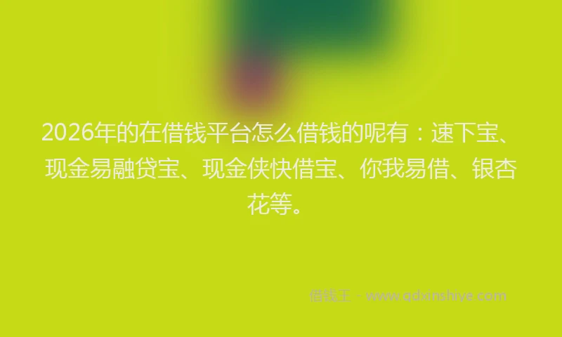 2026年的在借钱平台怎么借钱的呢有:速下宝、现金易融贷宝、现金侠快借宝、你我易借、银杏花等。