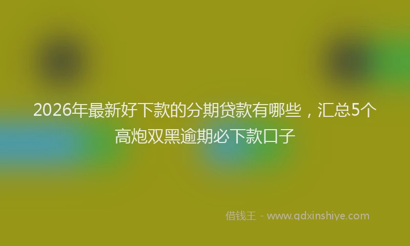 2026年最新好下款的分期贷款有哪些，汇总5个高炮双黑逾期必下款口子