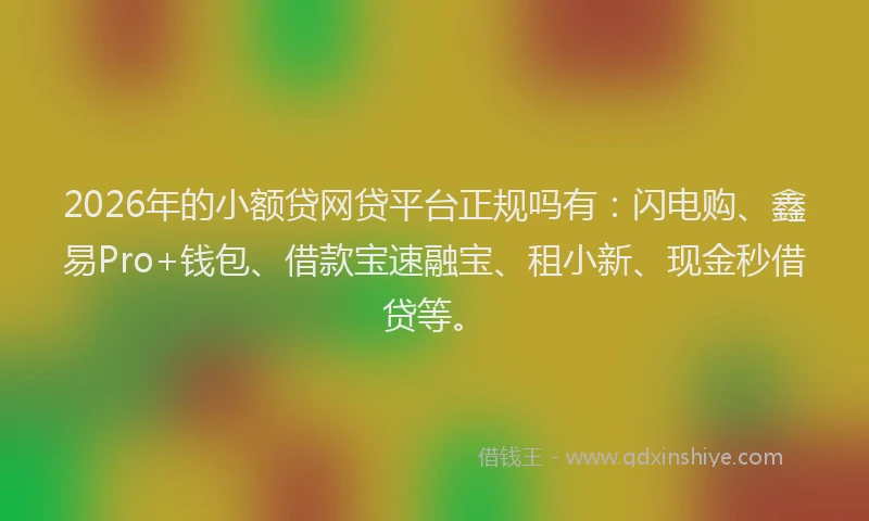 2026年的小额贷网贷平台正规吗有：闪电购、鑫易Pro+钱包、借款宝速融宝、租小新、现金秒借贷等。