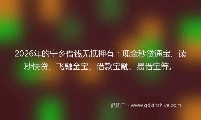 2026年的宁乡借钱无抵押有：现金秒贷通宝、读秒快贷、飞融金宝、借款宝融、易借宝等。