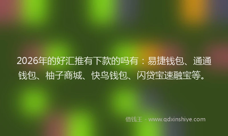 2026年的好汇推有下款的吗有：易捷钱包、通通钱包、柚子商城、快鸟钱包、闪贷宝速融宝等。