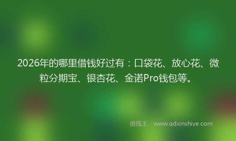 2026年的哪里借钱好过有:口袋花、放心花、微粒分期宝、银杏花、金诺Pro钱包等。
