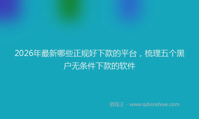 2026年最新哪些正规好下款的平台,梳理五个黑户无条件下款的软件