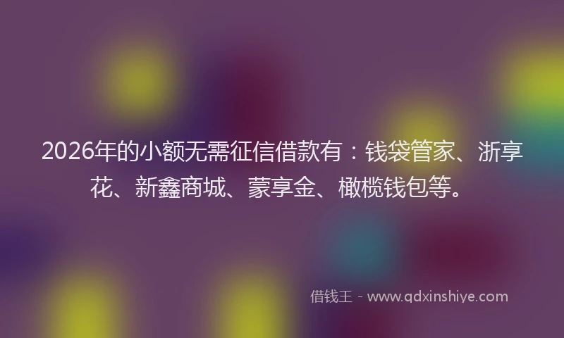 2026年的小额无需征信借款有：钱袋管家、浙享花、新鑫商城、蒙享金、橄榄钱包等。
