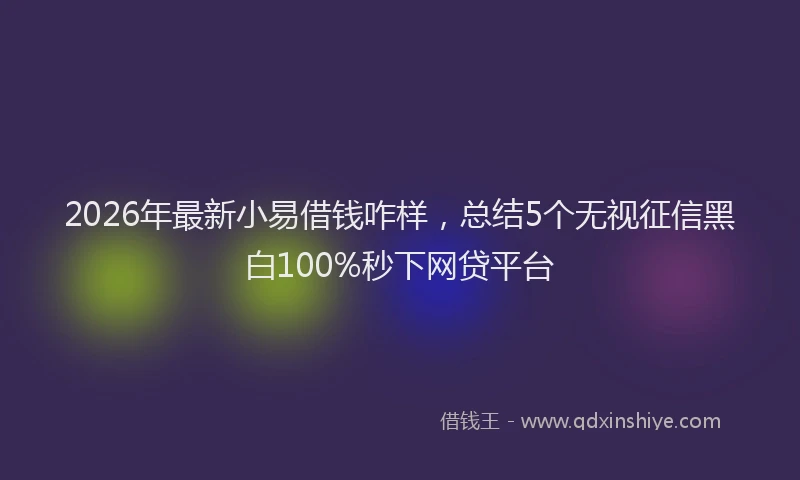 2026年最新小易借钱咋样，总结5个无视征信黑白100%秒下网贷平台