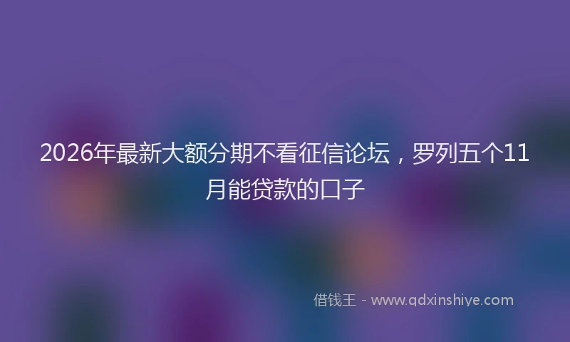 2026年最新大额分期不看征信论坛，罗列五个11月能贷款的口子