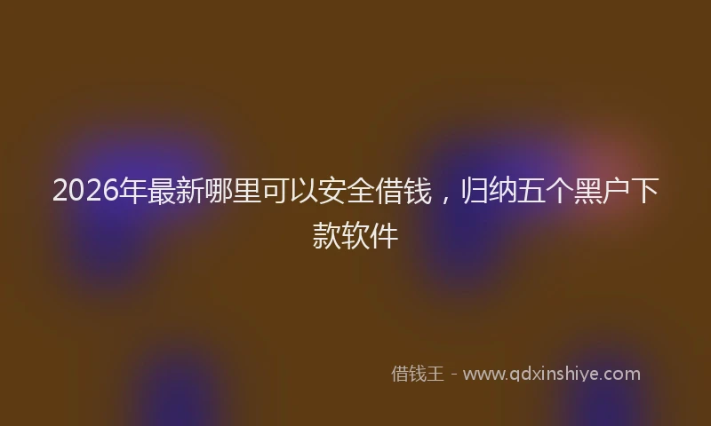 2026年最新哪里可以安全借钱,归纳五个黑户下款软件