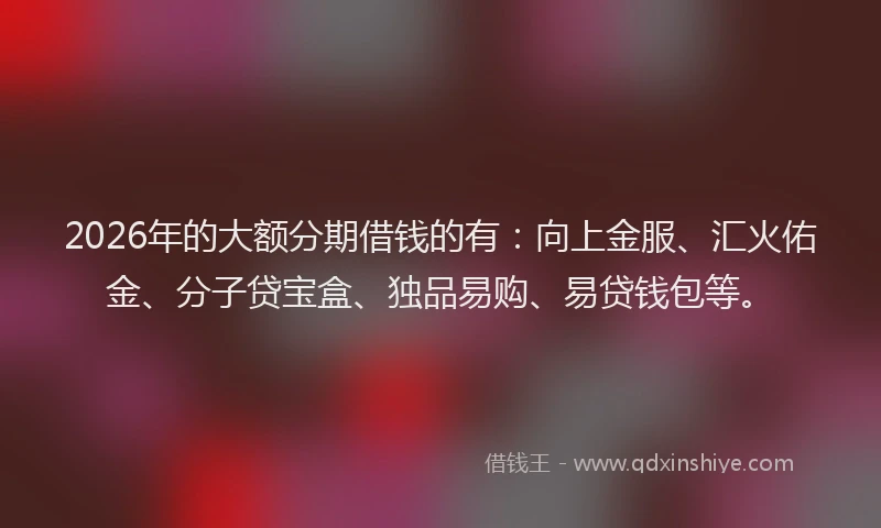 2026年的大额分期借钱的有：向上金服、汇火佑金、分子贷宝盒、独品易购、易贷钱包等。