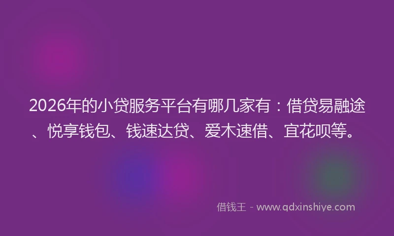 2026年的小贷服务平台有哪几家有：借贷易融途、悦享钱包、钱速达贷、爱木速借、宜花呗等。