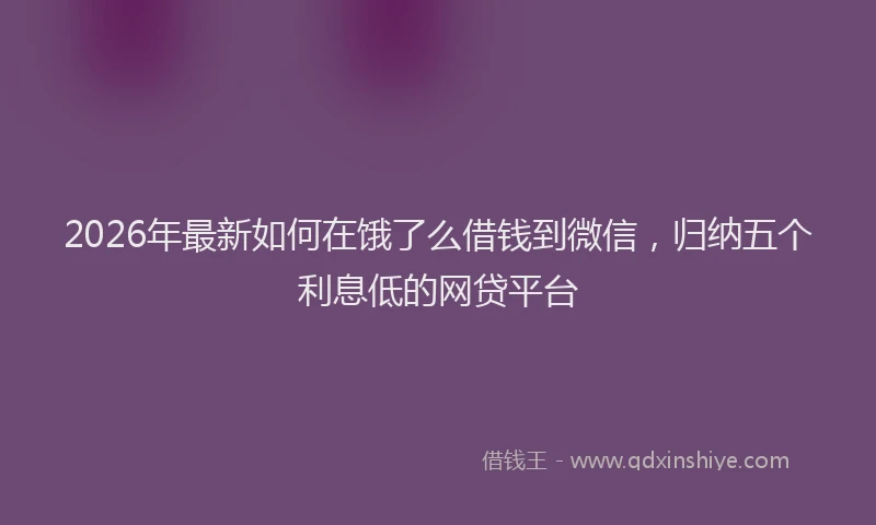 2026年最新如何在饿了么借钱到微信，归纳五个利息低的网贷平台