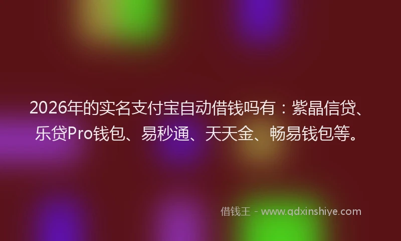 2026年的实名支付宝自动借钱吗有：紫晶信贷、乐贷Pro钱包、易秒通、天天金、畅易钱包等。