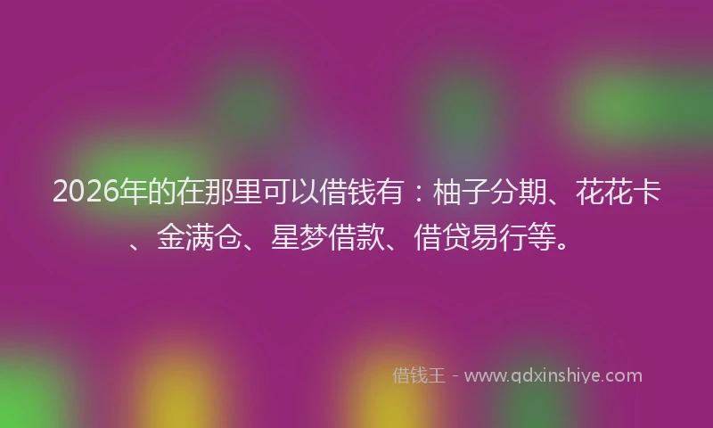 2026年的在那里可以借钱有:柚子分期、花花卡、金满仓、星梦借款、借贷易行等。