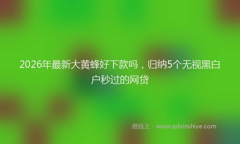 2026年最新大黄蜂好下款吗，归纳5个无视黑白户秒过的网贷