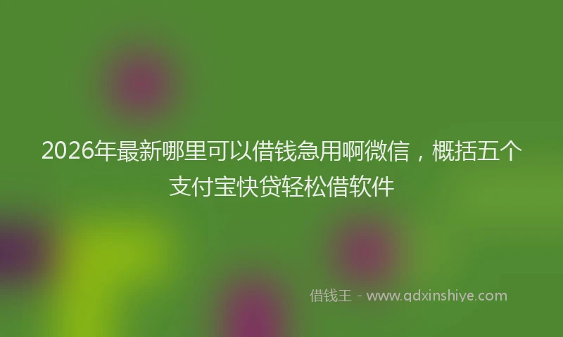 2026年最新哪里可以借钱急用啊微信,概括五个支付宝快贷轻松借软件