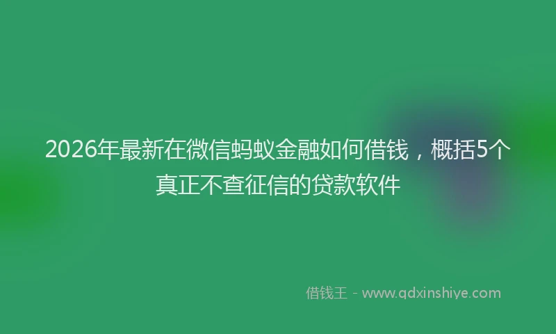 2026年最新在微信蚂蚁金融如何借钱，概括5个真正不查征信的贷款软件