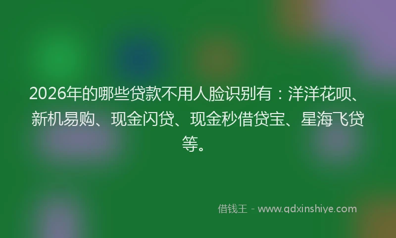2026年的哪些贷款不用人脸识别有：洋洋花呗、新机易购、现金闪贷、现金秒借贷宝、星海飞贷等。