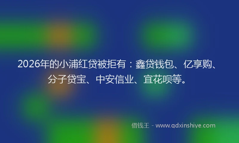2026年的小浦红贷被拒有：鑫贷钱包、亿享购、分子贷宝、中安信业、宜花呗等。