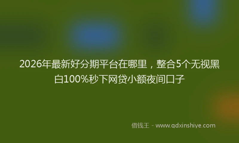 2026年最新好分期平台在哪里，整合5个无视黑白100%秒下网贷小额夜间口子