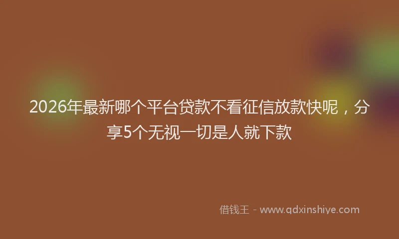 2026年最新哪个平台贷款不看征信放款快呢，分享5个无视一切是人就下款