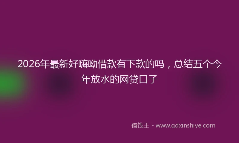 2026年最新好嗨呦借款有下款的吗，总结五个今年放水的网贷口子