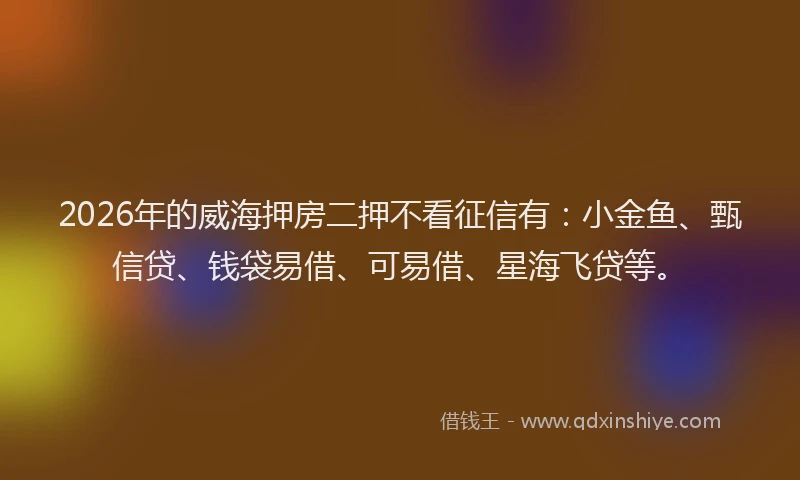 2026年的威海押房二押不看征信有：小金鱼、甄信贷、钱袋易借、可易借、星海飞贷等。