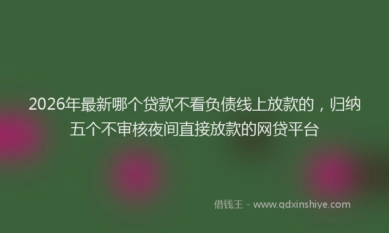 2026年最新哪个贷款不看负债线上放款的，归纳五个不审核夜间直接放款的网贷平台