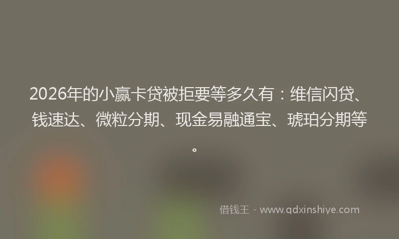 2026年的小赢卡贷被拒要等多久有：维信闪贷、钱速达、微粒分期、现金易融通宝、琥珀分期等。