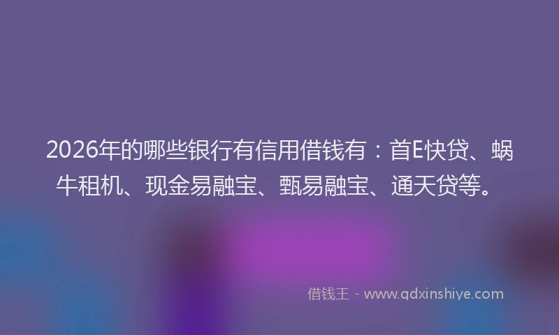 2026年的哪些银行有信用借钱有:首E快贷、蜗牛租机、现金易融宝、甄易融宝、通天贷等。