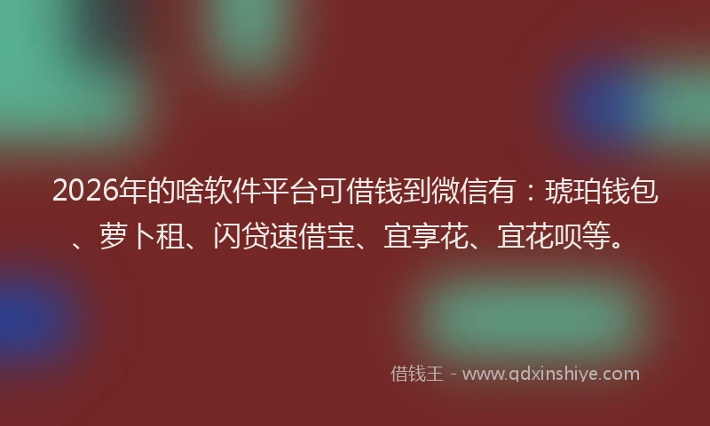 2026年的啥软件平台可借钱到微信有：琥珀钱包、萝卜租、闪贷速借宝、宜享花、宜花呗等。
