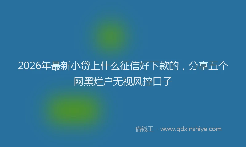 2026年最新小贷上什么征信好下款的，分享五个网黑烂户无视风控口子