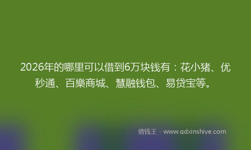 2026年的哪里可以借到6万块钱有：花小猪、优秒通、百樂商城、慧融钱包、易贷宝等。