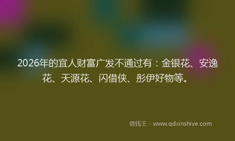 2026年的宜人财富广发不通过有：金银花、安逸花、天源花、闪借侠、彤伊好物等。