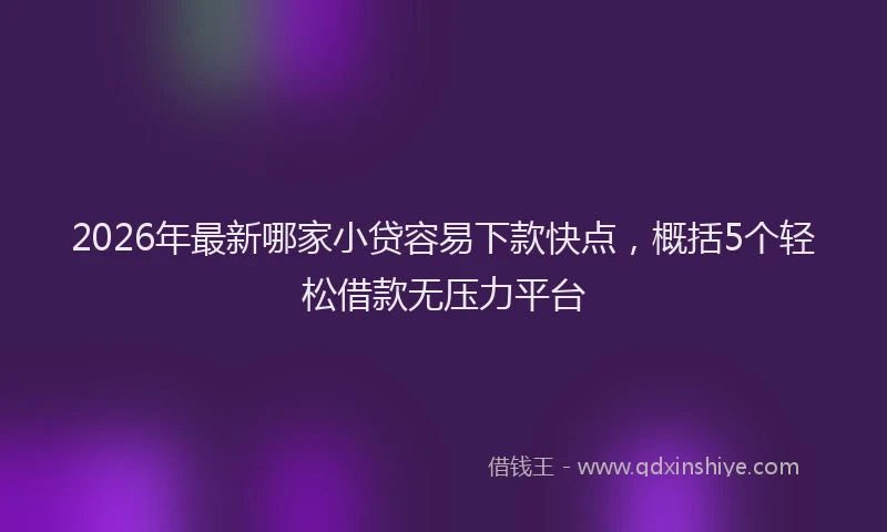 2026年最新哪家小贷容易下款快点，概括5个轻松借款无压力平台
