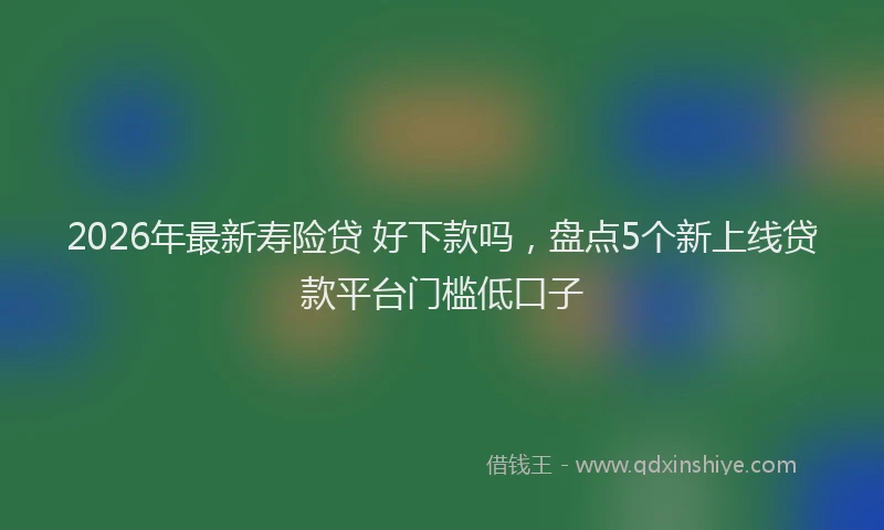 2026年最新寿险贷 好下款吗，盘点5个新上线贷款平台门槛低口子