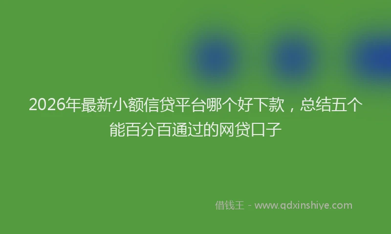 2026年最新小额信贷平台哪个好下款，总结五个能百分百通过的网贷口子