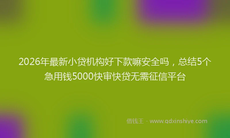 2026年最新小贷机构好下款嘛安全吗，总结5个急用钱5000快审快贷无需征信平台