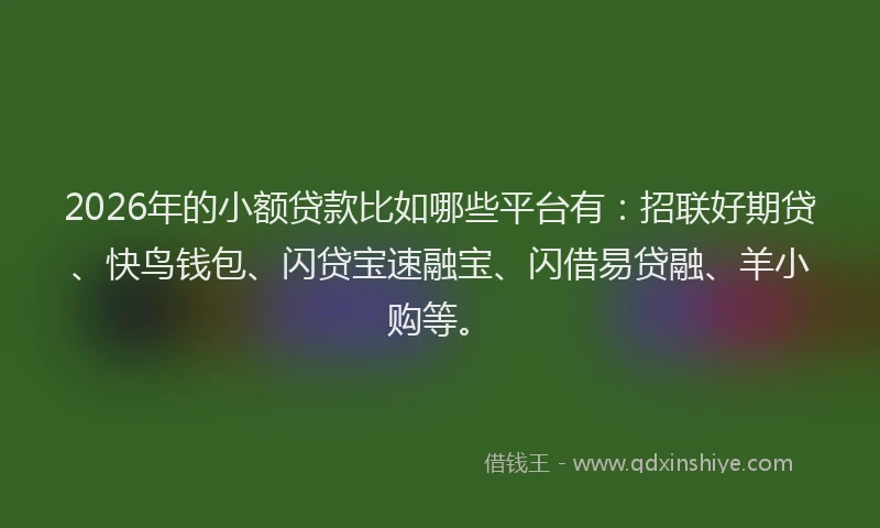2026年的小额贷款比如哪些平台有：招联好期贷、快鸟钱包、闪贷宝速融宝、闪借易贷融、羊小购等。