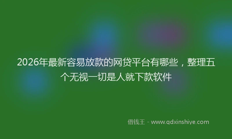 2026年最新容易放款的网贷平台有哪些，整理五个无视一切是人就下款软件